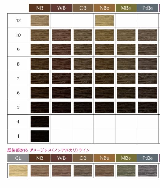 送料無料！【新品・未使用】 資生堂 プリミエンスエンリッチ NB1/80g