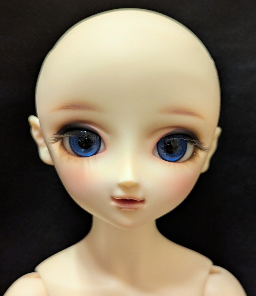 ボークス