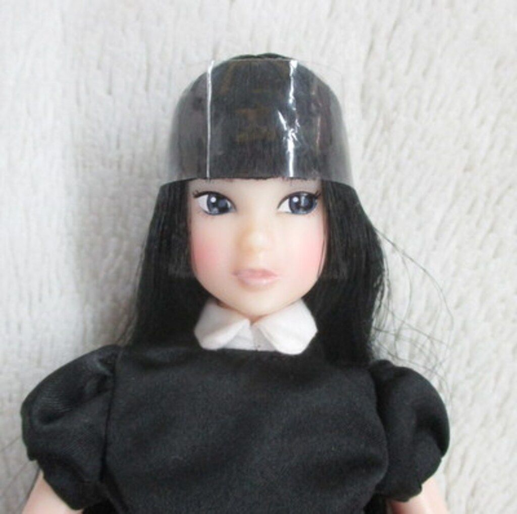 ペットワークス CCS-momoko 17 SS