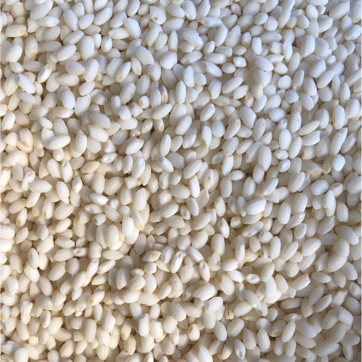 もち米（マンゲツモチ）　白米10kg 令和7年産】もち米「マンゲツモチ」10kg（精米）お餅や赤飯に最適