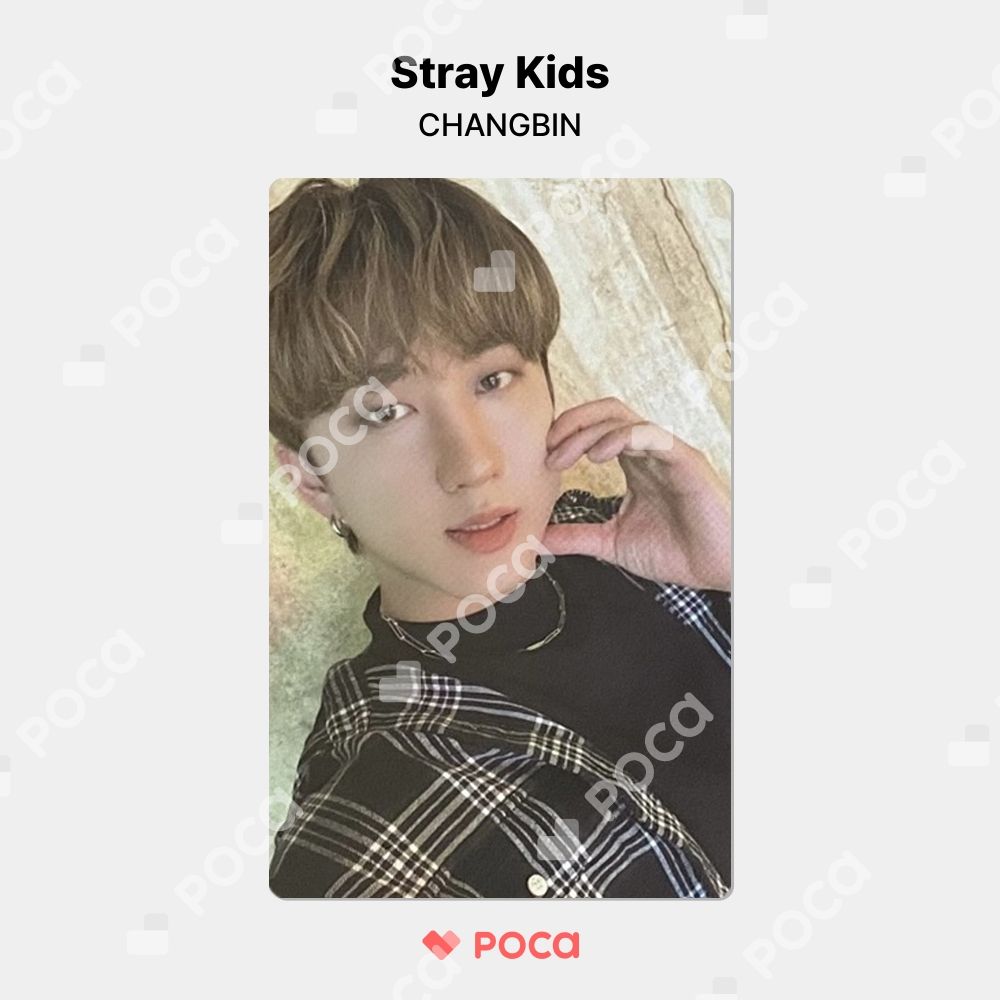 straykids チャンビン スキズ トレカ Stray Kids 2nd World Tour
