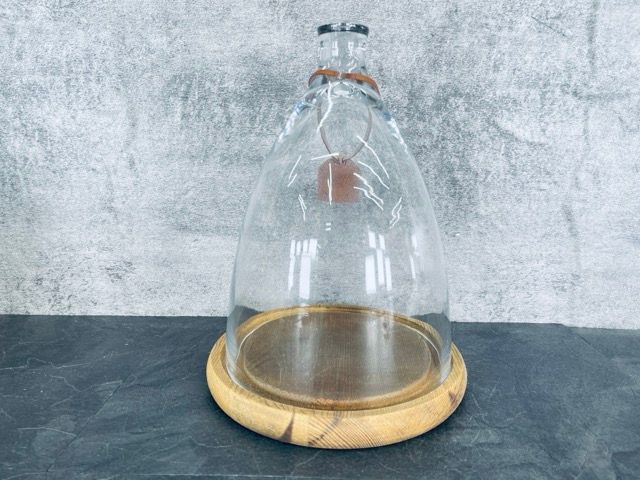 DULTON GLASS CLOCHE Mサイズ ダルトン ガラスクローシュ DULTON GLASS CLOCHE 【中古】 ダルトン ガラスクローシュ 素敵