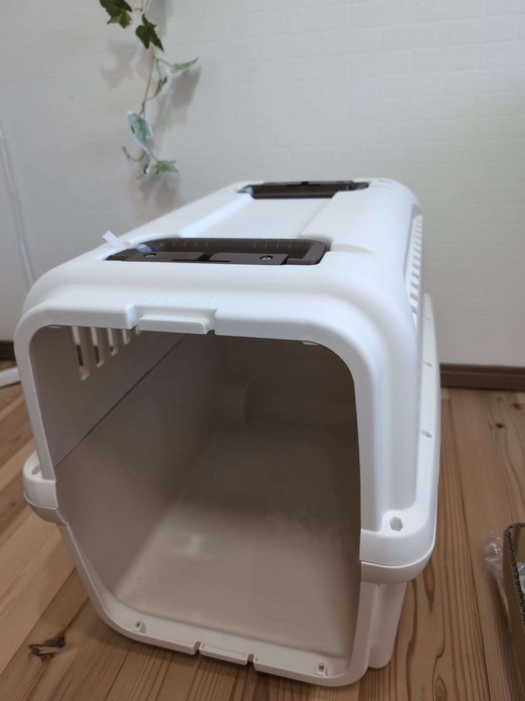 キャンピングキャリー