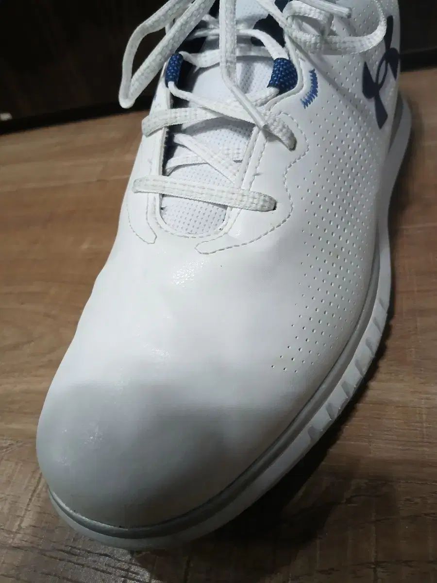 ゴルフシューズ 280mm