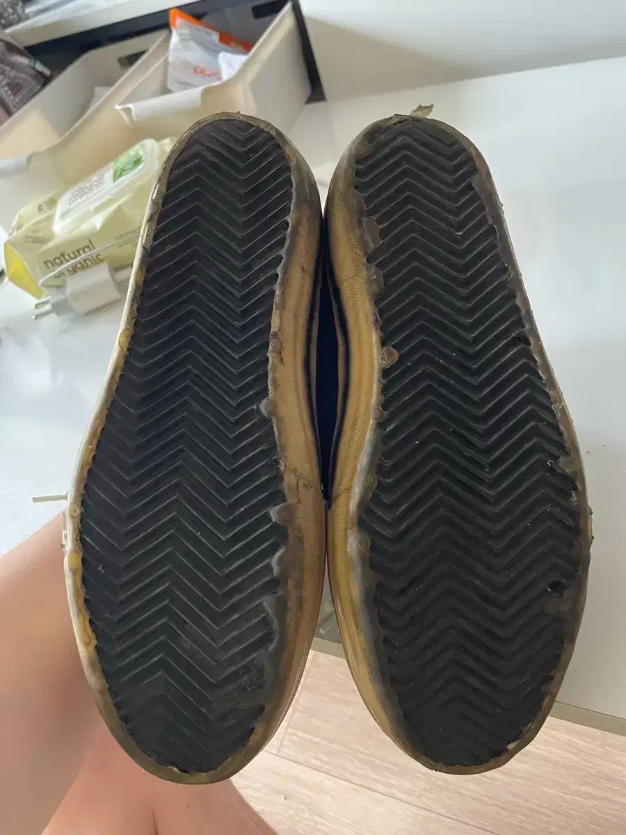 ゴールデングース