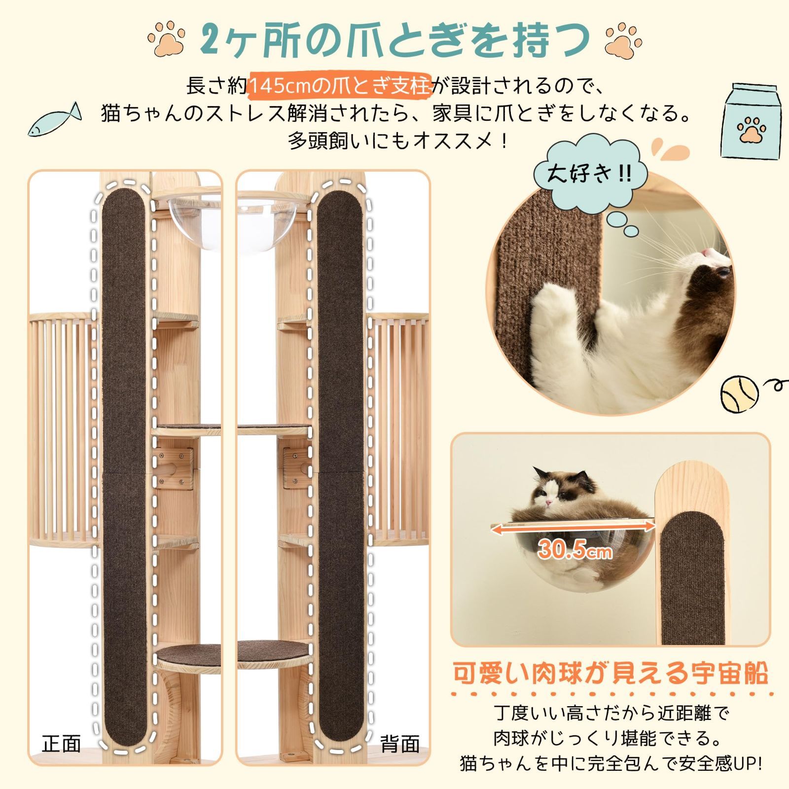 キャットタワー BTM