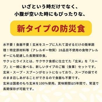 アルファー食品 サクッとライス ミネストローネ 190g ×40袋セット 11421639 WWW_IBETON_RU