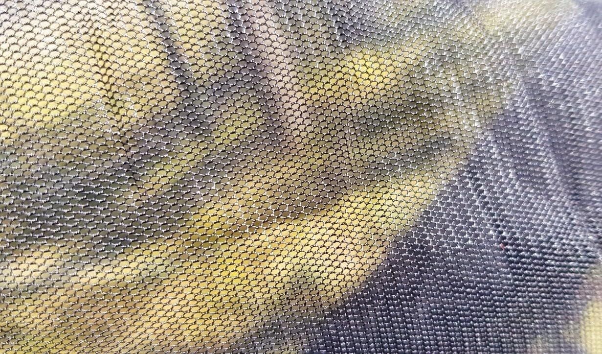 カモ camo