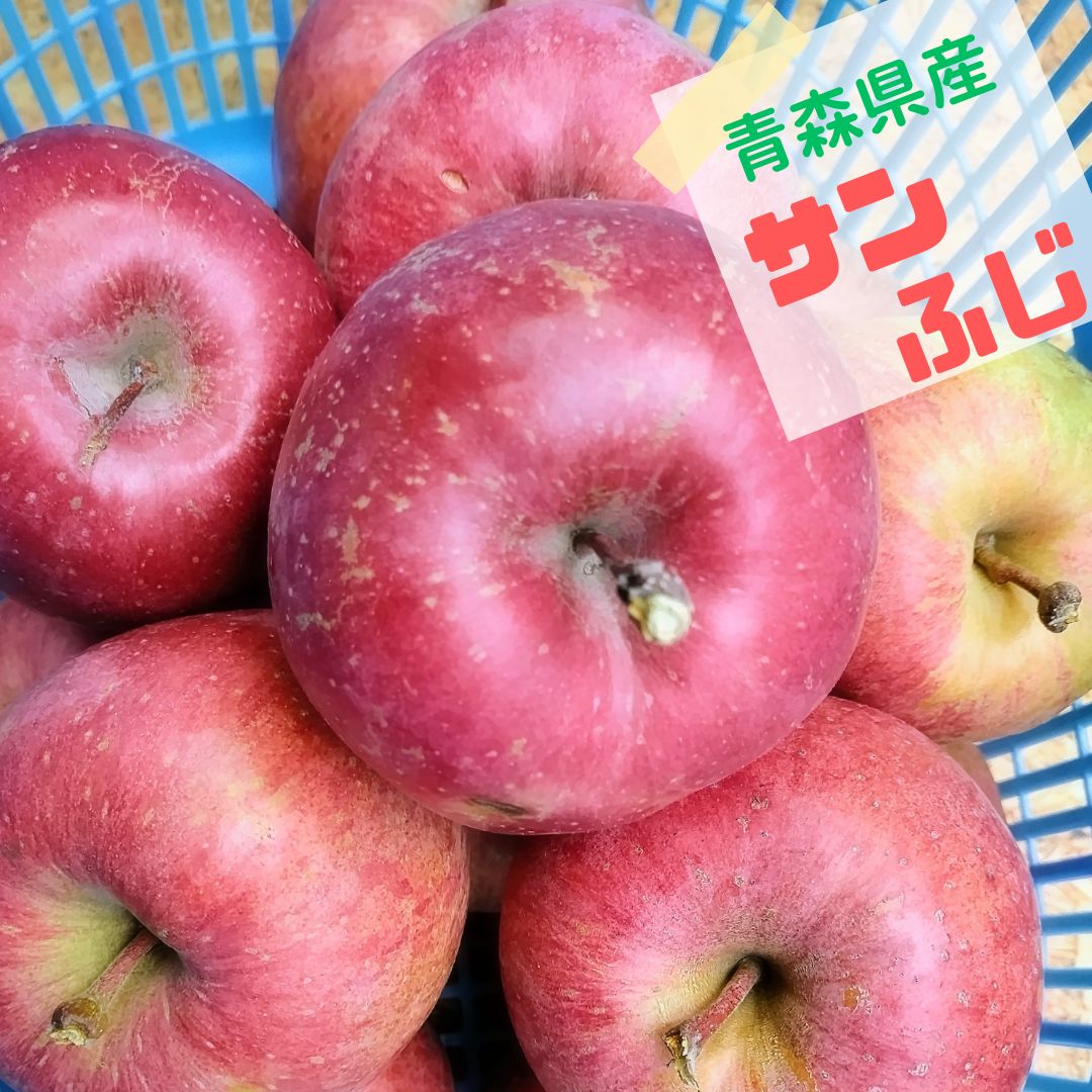 青森県産  サンふじ  りんご 家庭用 20kg  産地直送 リンゴ 林檎