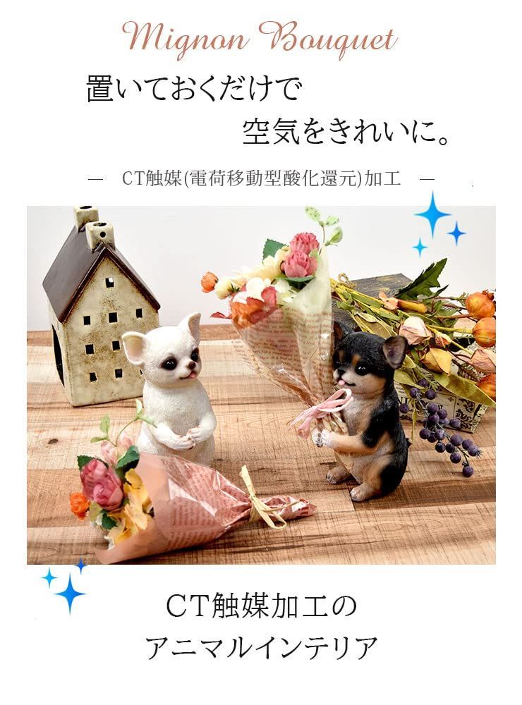 シロ
