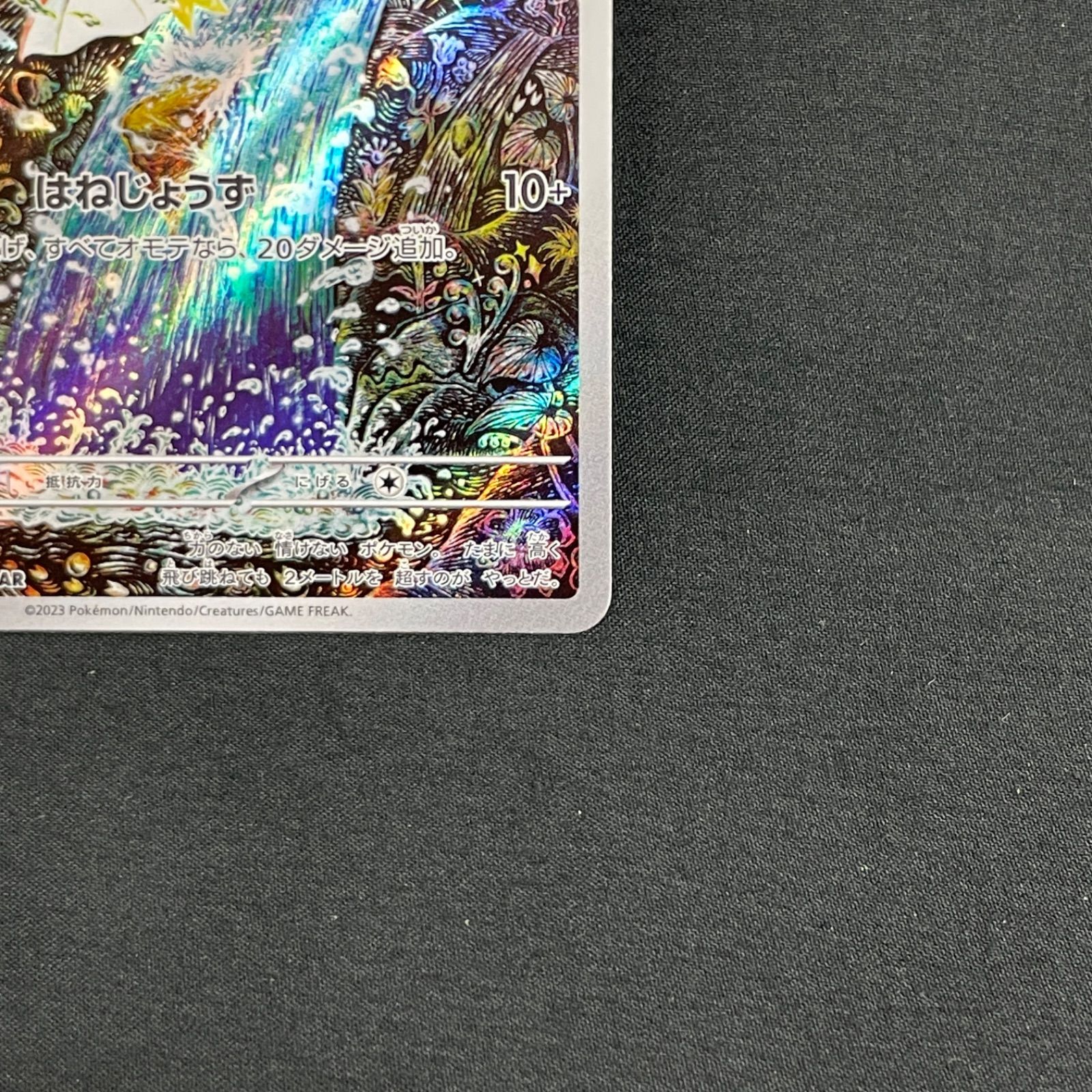 おやすみまる　コイキング　ar 080/073 コイキング AR 080/073の通販 遊ING熊本上通り店（830958882