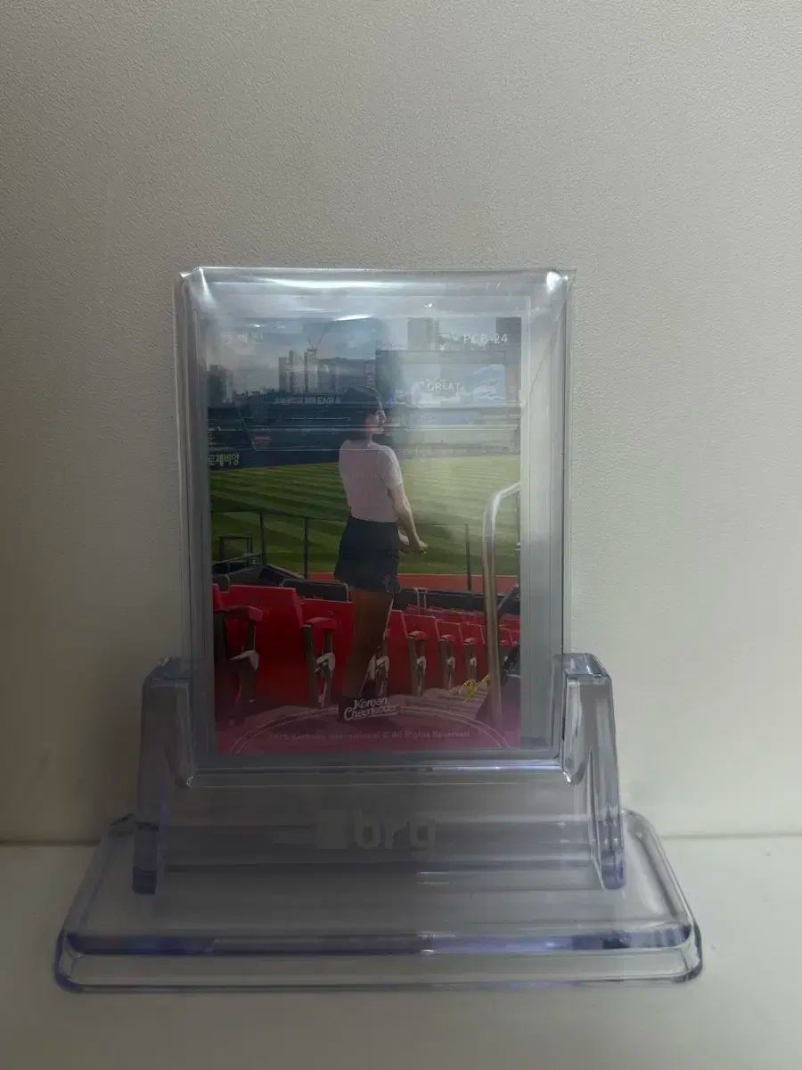 염세빈 チアリーダー マフィオート