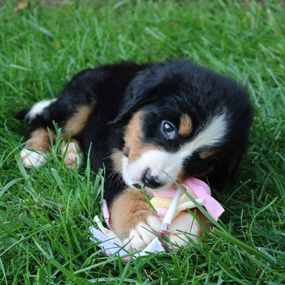 子犬のぬいぐるみ 鼓動が聞こえるおもちゃ