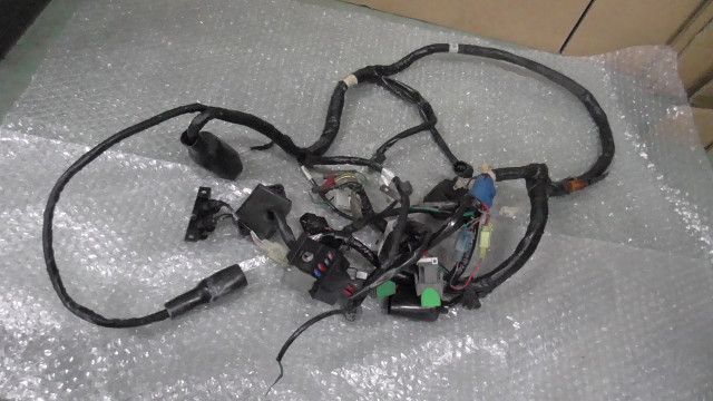 ZOOMER ズーマー AF58-1613xxx の メインハーネス 1745375212