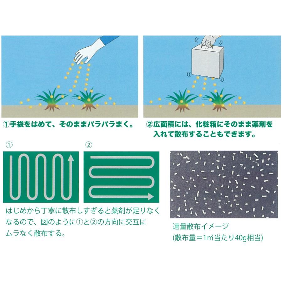 6個セット