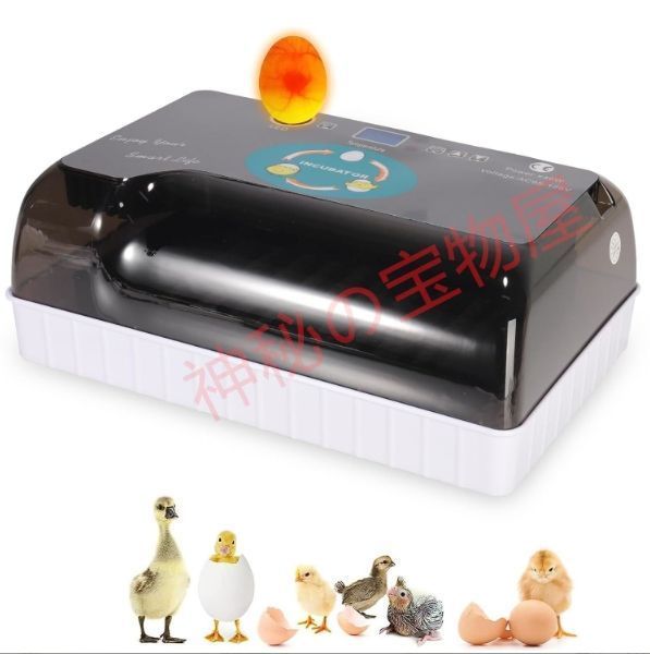 LED 鳥類専用孵卵器 孵化器 ふ化器 インキュベーター 楽天市場】孵卵器 
