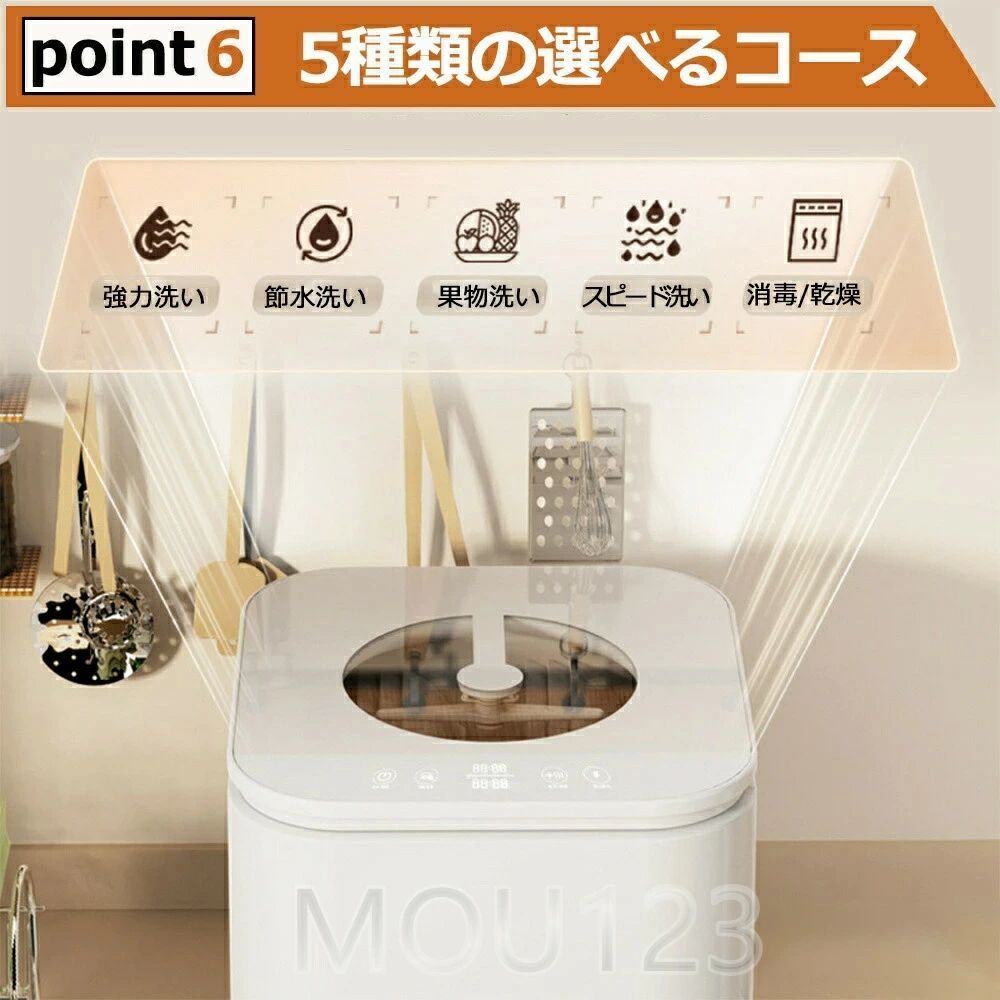 特選株 発根済み現地球 コミフォラ エイル 希少株】コミフォラ エイル