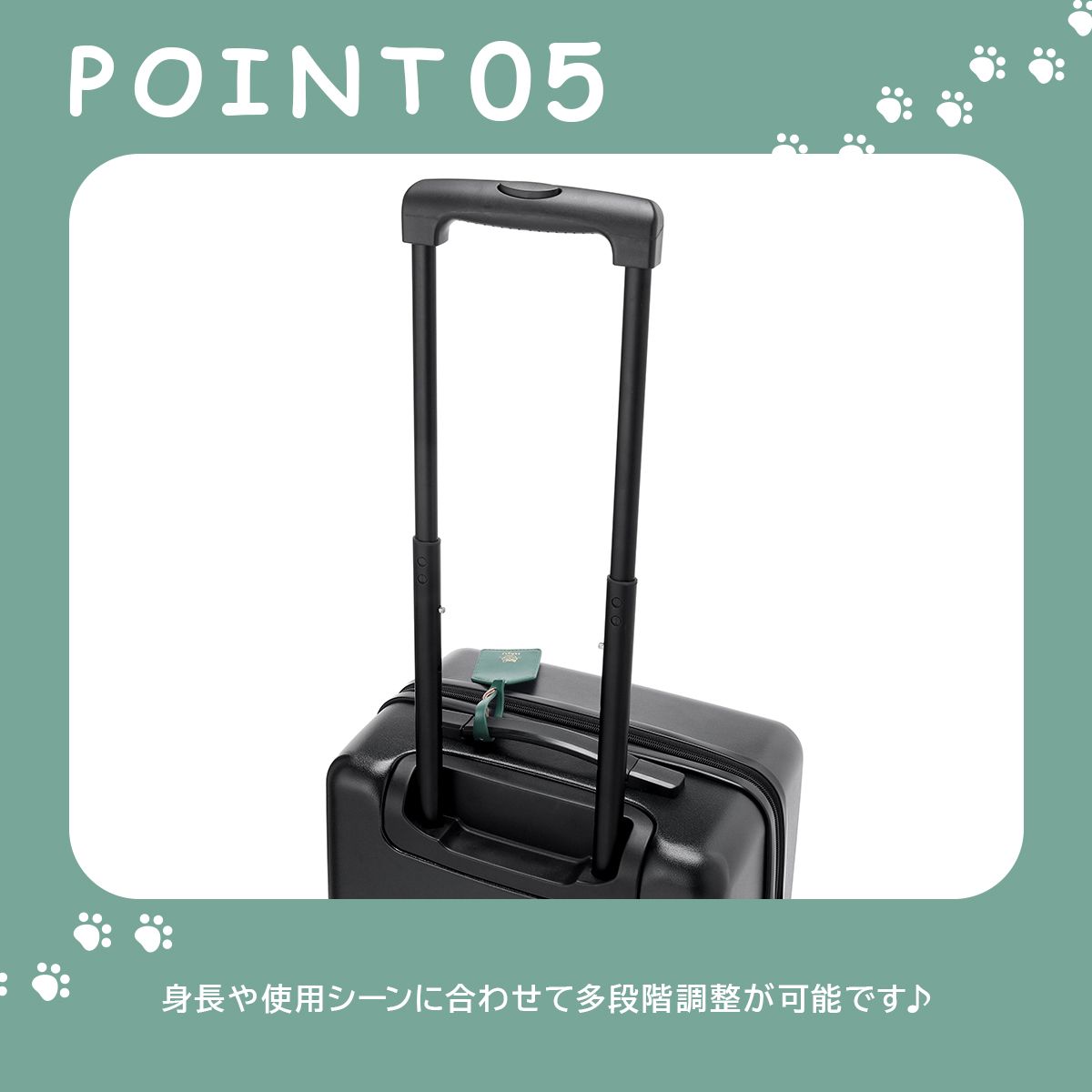 05781-01 キャリーケース