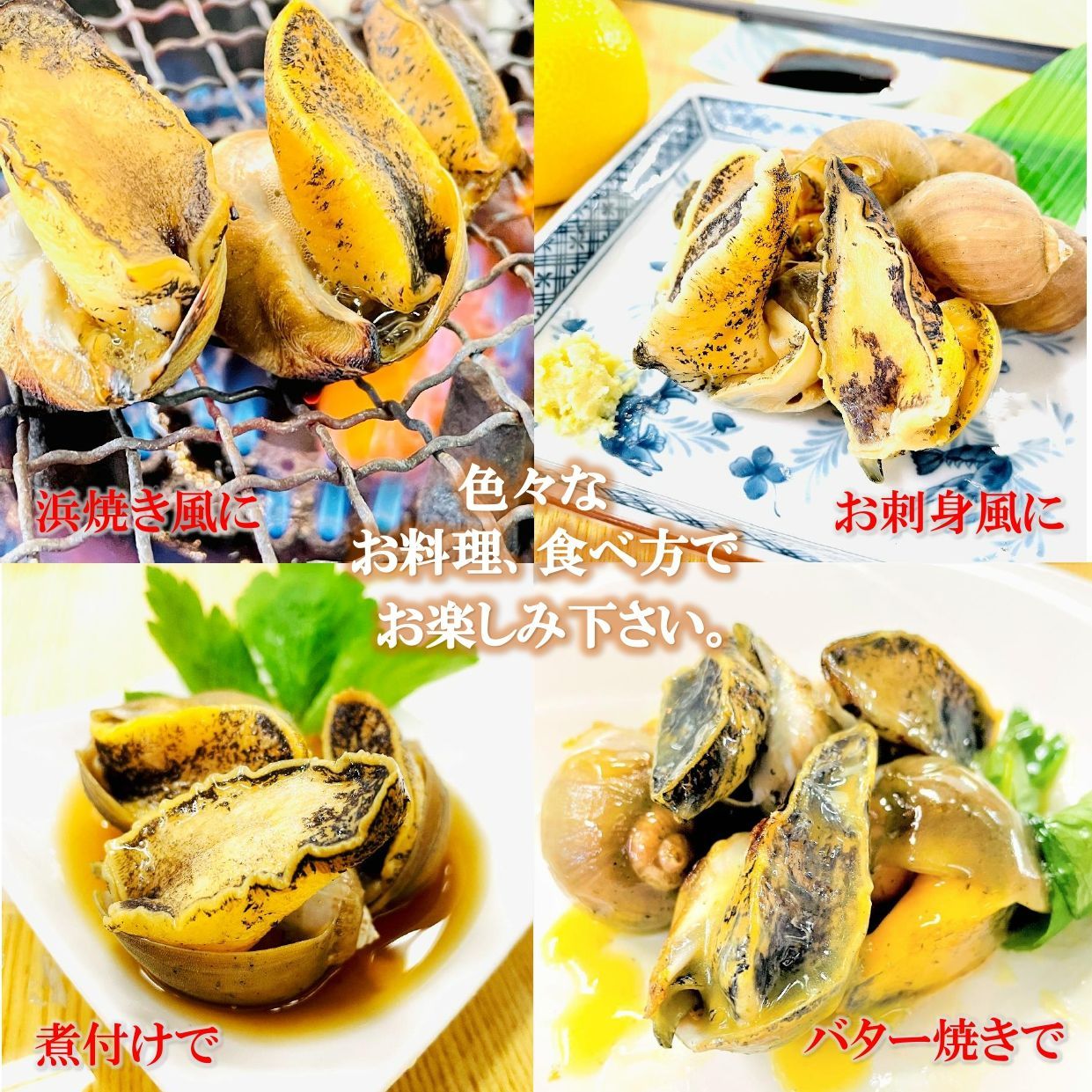 あわびつぶ 1kg/袋（約30粒前後）青森県産 天然物 モスソガイ 煮てもかたくならない 煮つけ・おでん・バター焼きにもどうぞ