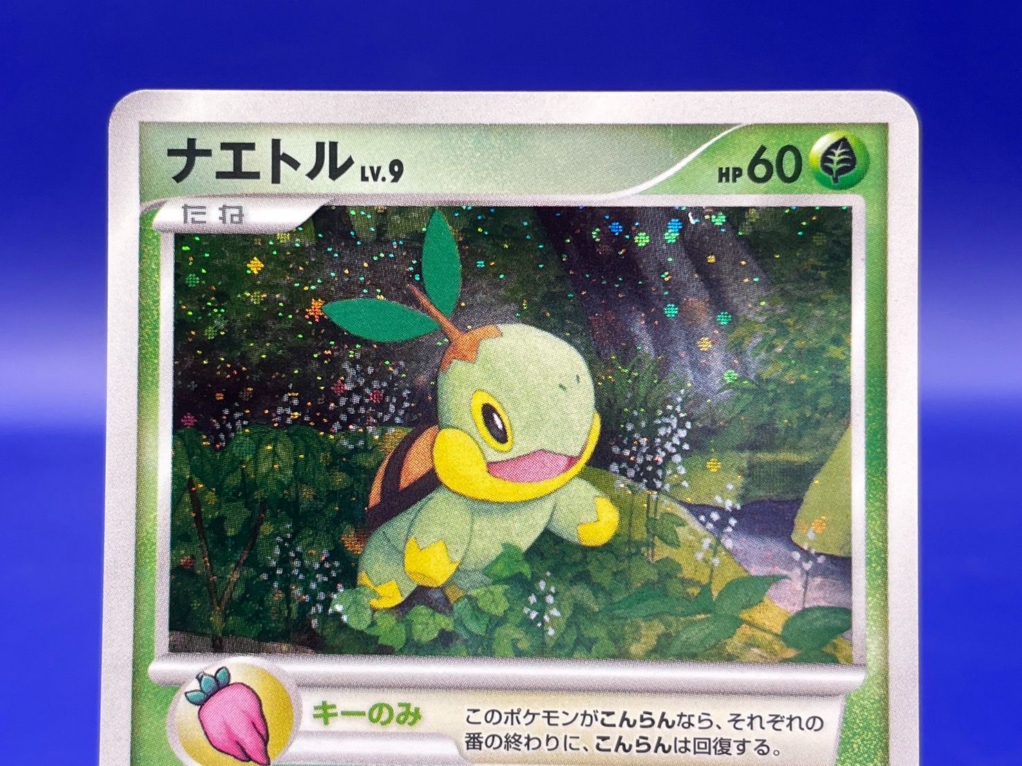 PSA 10 ナエトル 001 キラ PPP プレイヤーズ 2007