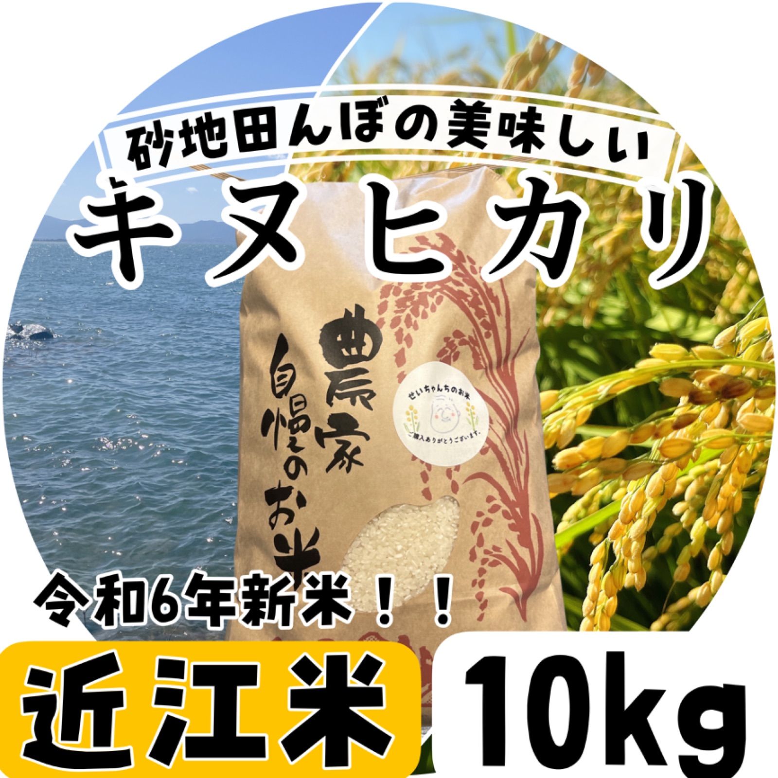 楽天市場】近江米 令和6年 玄米 30kg 滋賀県産 キヌヒカリ 送料