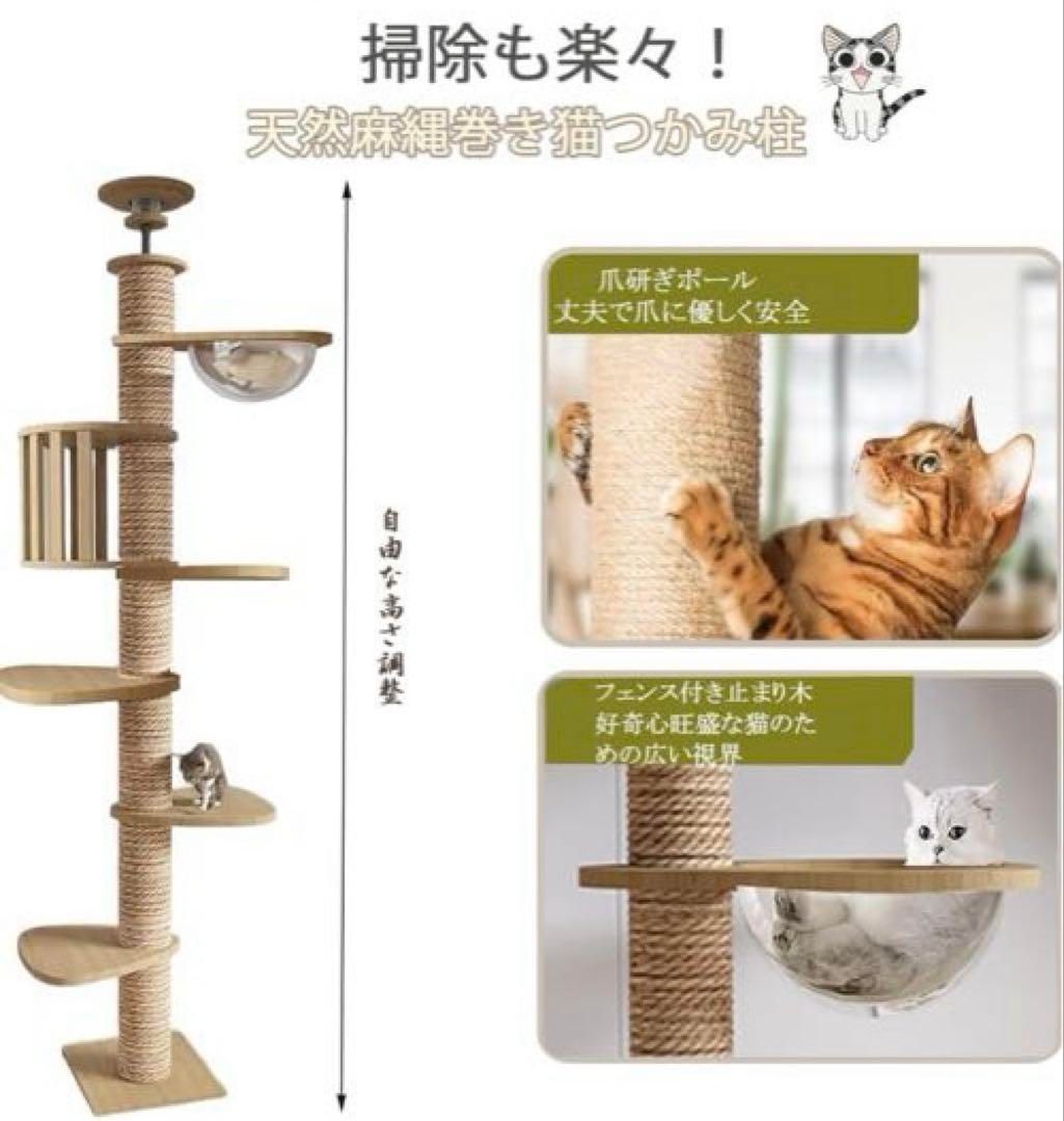 多頭飼い