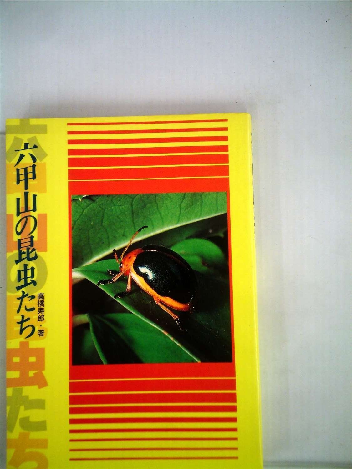 六甲山の昆虫たち 1981年