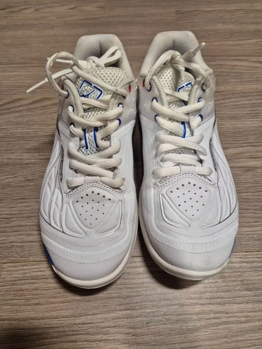 Mizuno ミズノ 波 パン 2 白 バドミントンシューズ