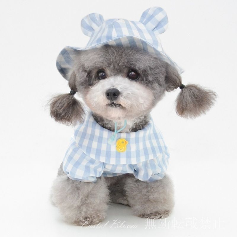 犬用