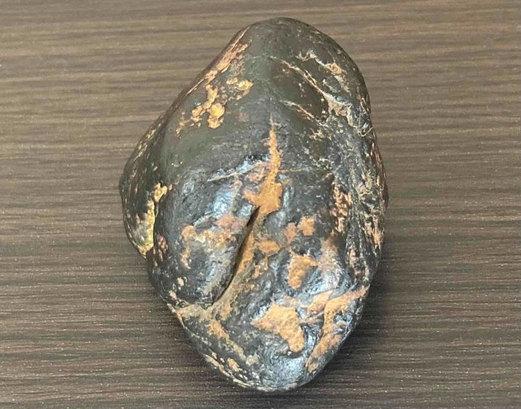 半額キャンペーン 20