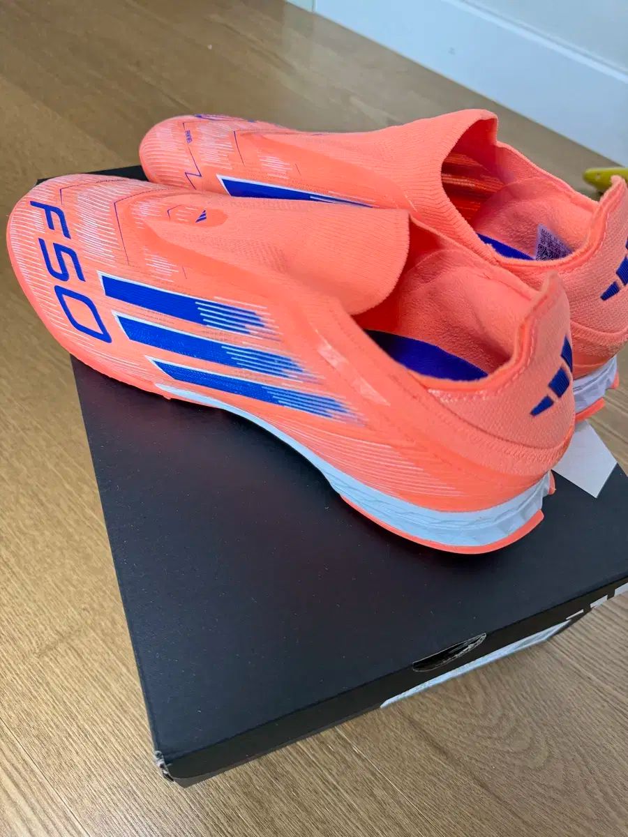 プロ レースレス