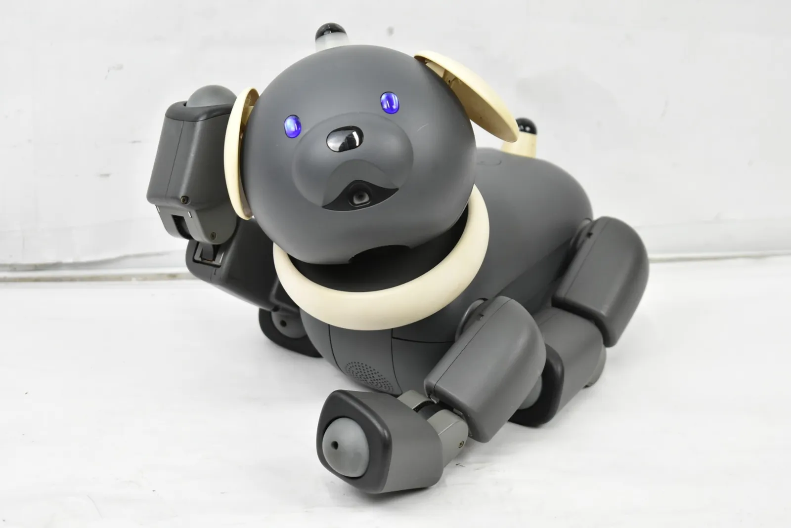 【超激レア品 ‼️】SONY AIBO アイボ　アペリオス　メモリースティック 2025年最新】aibo メモリースティックの人気アイテム - メルカリ