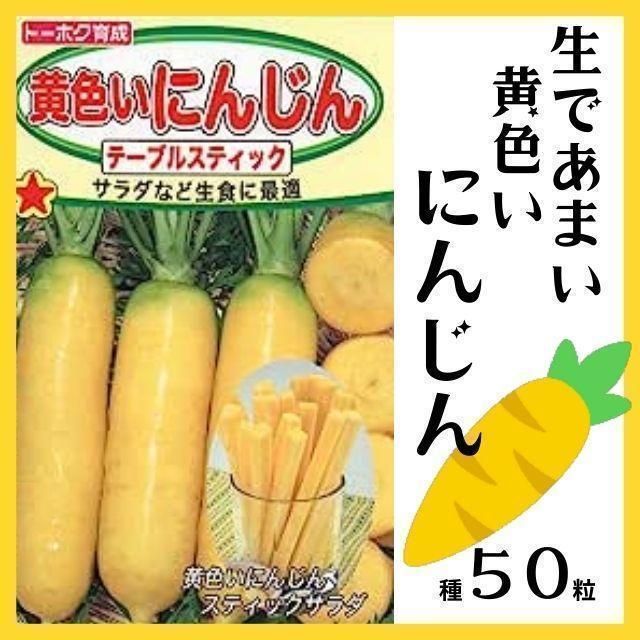 野菜の種】生であまっ♡「黄色いにんじん」種５０粒 - メルカリ