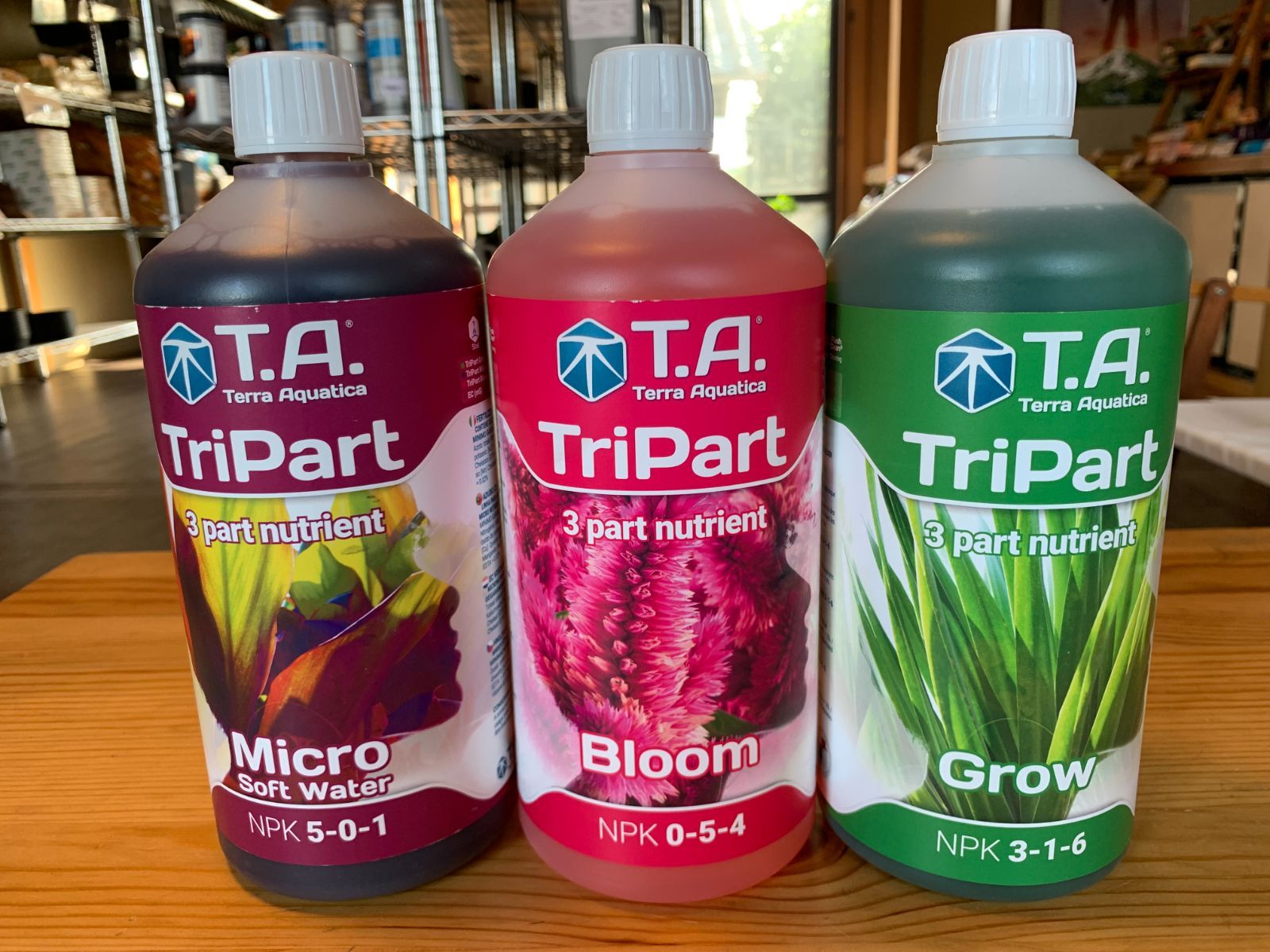 1L
