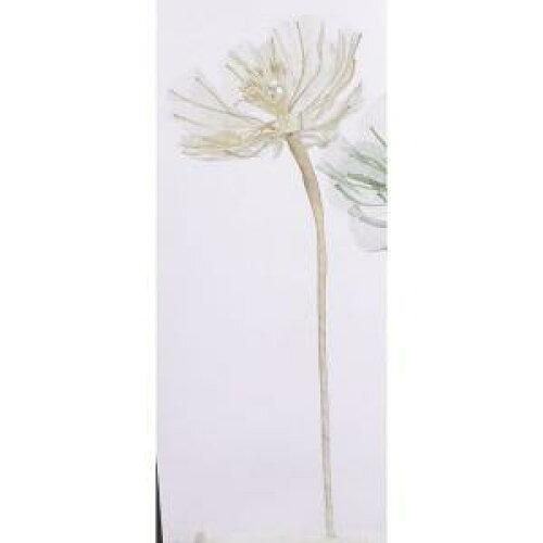 掛け軸 秀崖 松上鶴 紙本 希少 軸装 茶道具 掛軸 美品 です。 ショップ