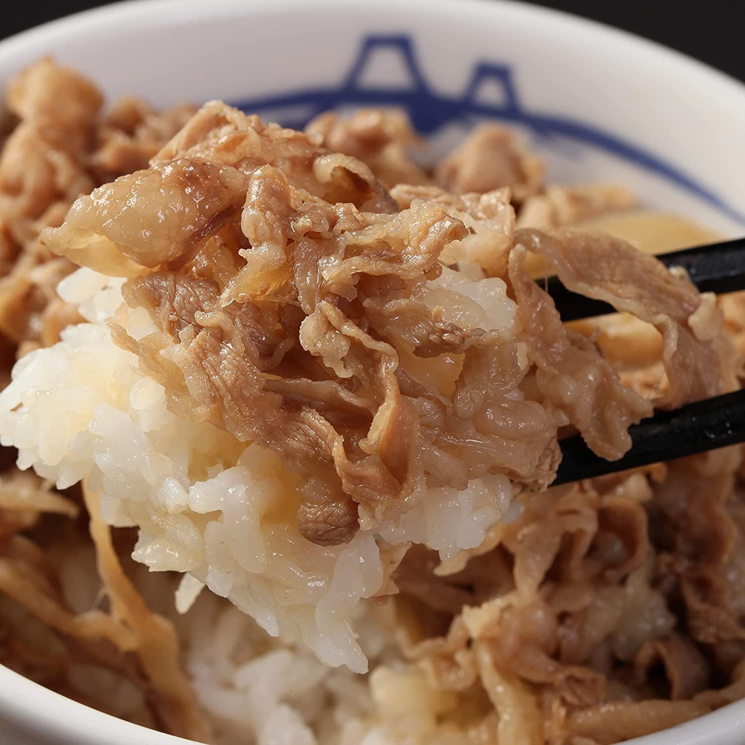 【松屋公式】牛めしの具（プレミアム仕様）10食＆ヒレカツ丼の具10食 計20食セット