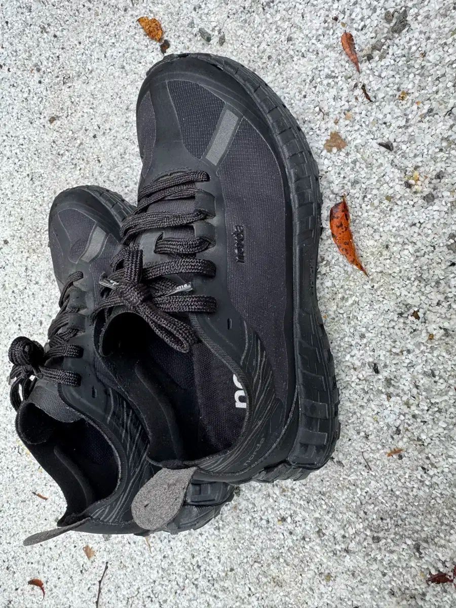 派手な 野田 001 ステルス 黒 us7 240 ボートなし かわいい