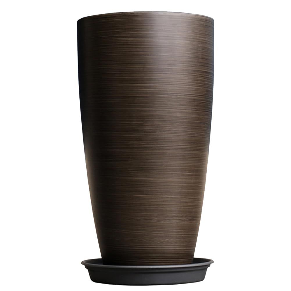 さつき盆栽 中型盆栽 素材B 盆栽 皐月 さつき