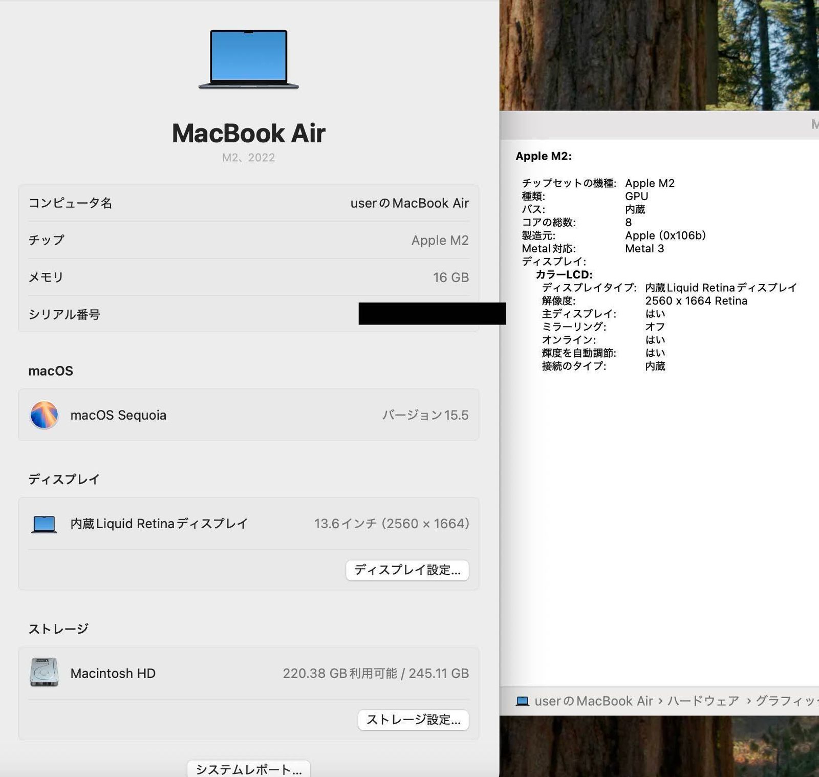 MacBook Air M1 2020 8GB 256GB バッテリー容量97% Apple MacBook Air