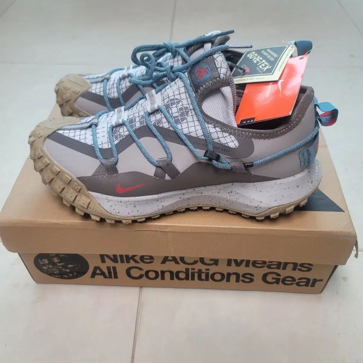 NIKE ナイキ ACG マウンテン フライ ロー GTX SE 265