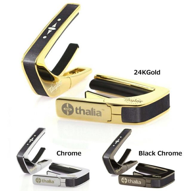 タリア カポ テイラー ライセンスド モデル Thalia Capos テイラー 500シリーズ カポタスト TAYLOR 500 SERIES CENTURY ギター 15インチフレットパッド付属