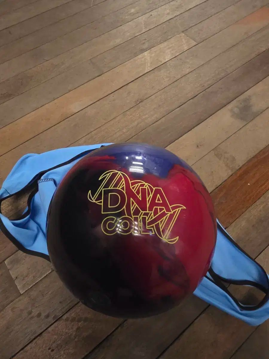 ボーリング 15p 3 犬