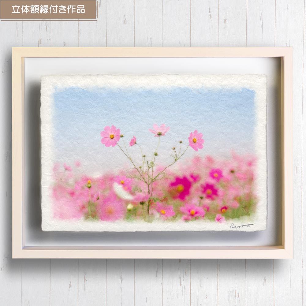 和紙の絵写真 「空に咲き乱れるピンクのコスモス」 立体額縁付き