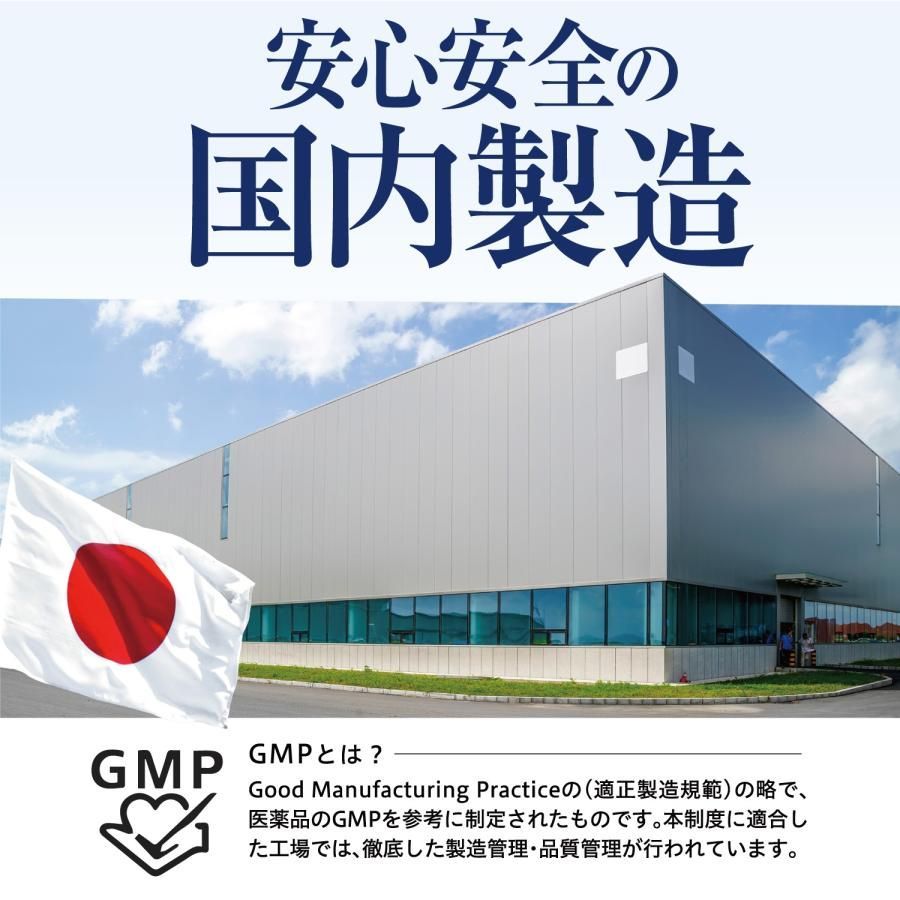 スルフォラファン ギャバ 60粒×3袋 しじみ ウコン 田七人参 マカ