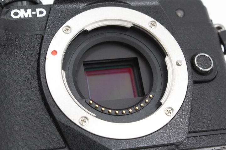 シャッター回数2