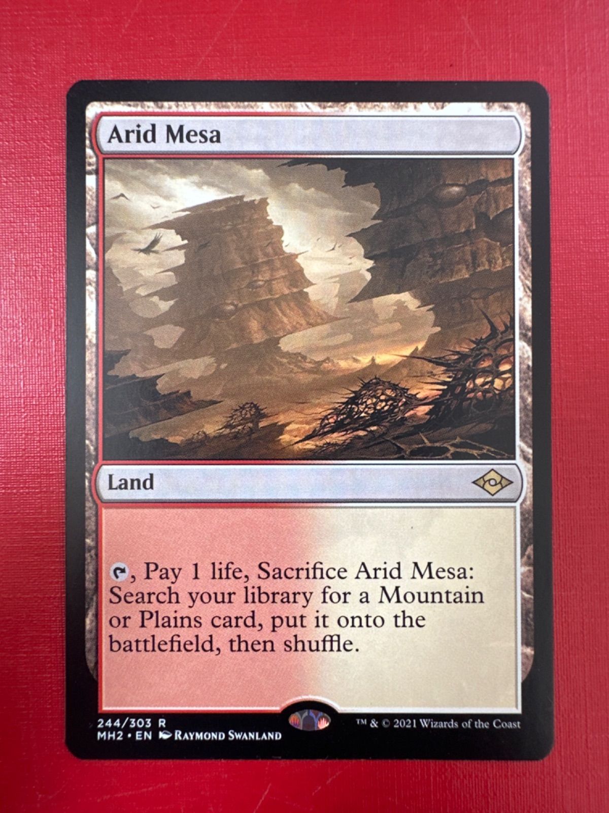 MTG 乾燥台地 (MH2 EN) - メルカリ