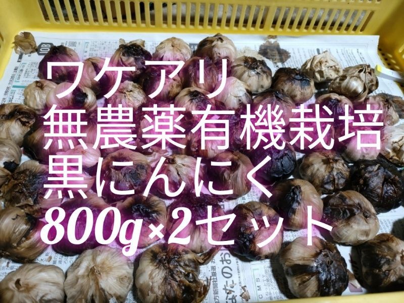 黒にんにく （JAS認定、無農薬有機栽培）800グラム