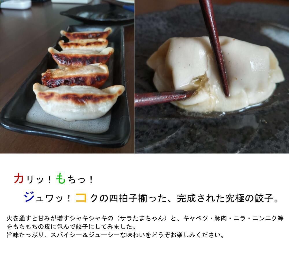 カリもちっ餃子 150個【チルド代込み】熊本県産サラたまちゃん入りギョーザ カリもちっ餃子 150個【チルド代込み】熊本県産サラたまちゃん入り