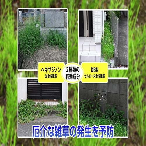 2個セット 住友化学園芸
