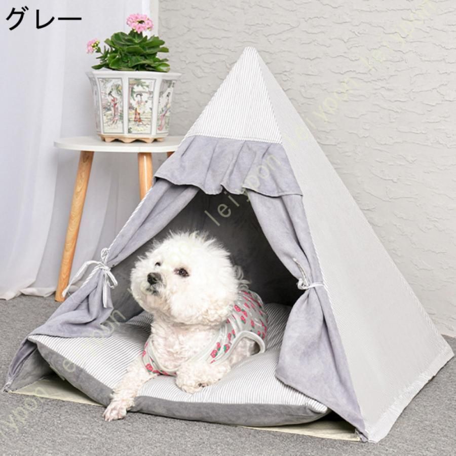 小型犬